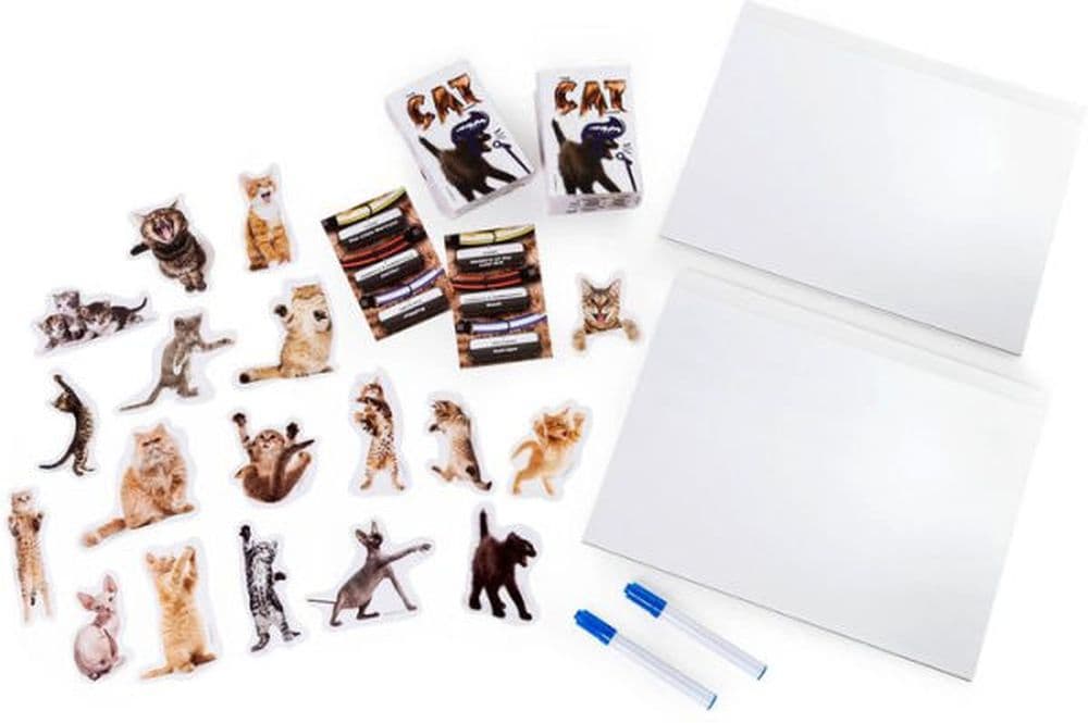 Cat Game 5th Product Detail  Image width="1000" height="1000"