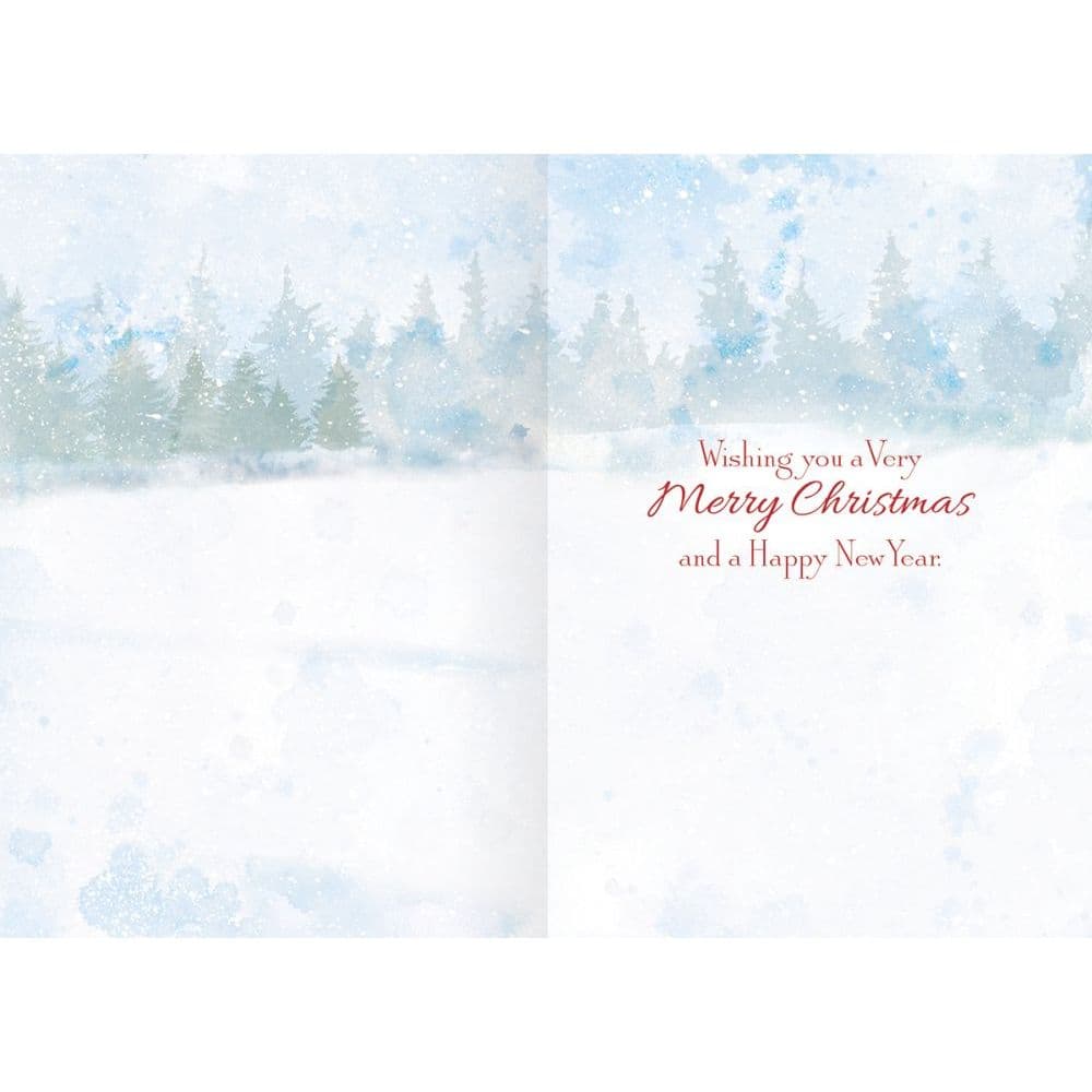 merry birdhouse petite christmas cards image 2 width=&quot;1000&quot; height=&quot;1000&quot;