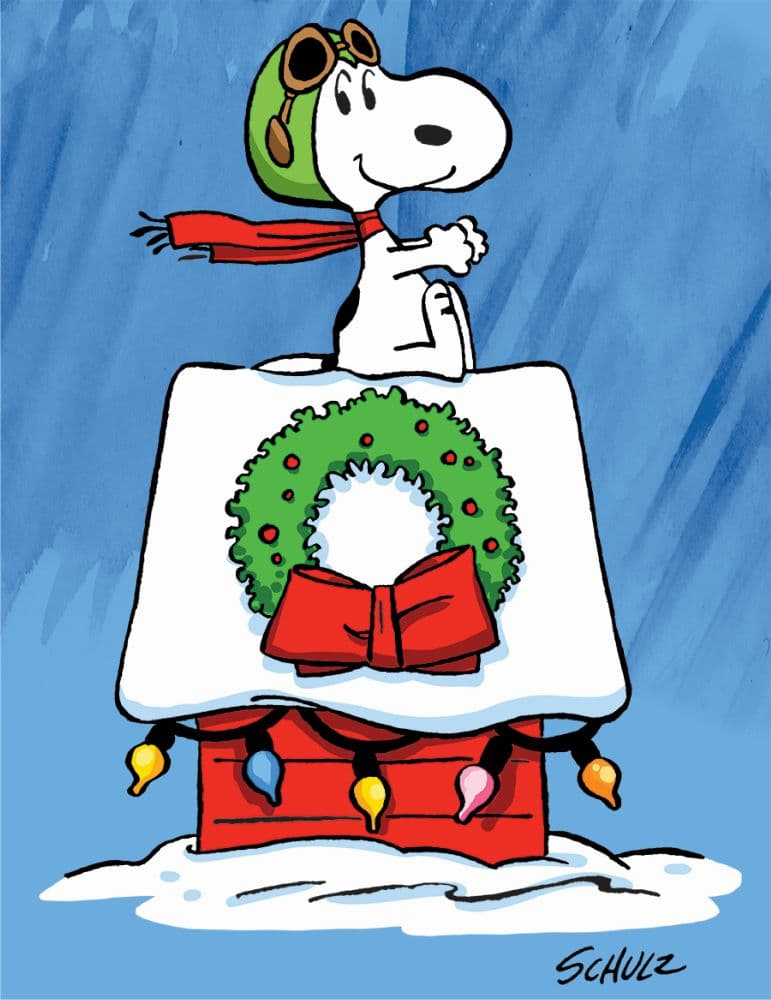 snoopy holiday doghouse puzzle image 2 width="1000" height="1000"