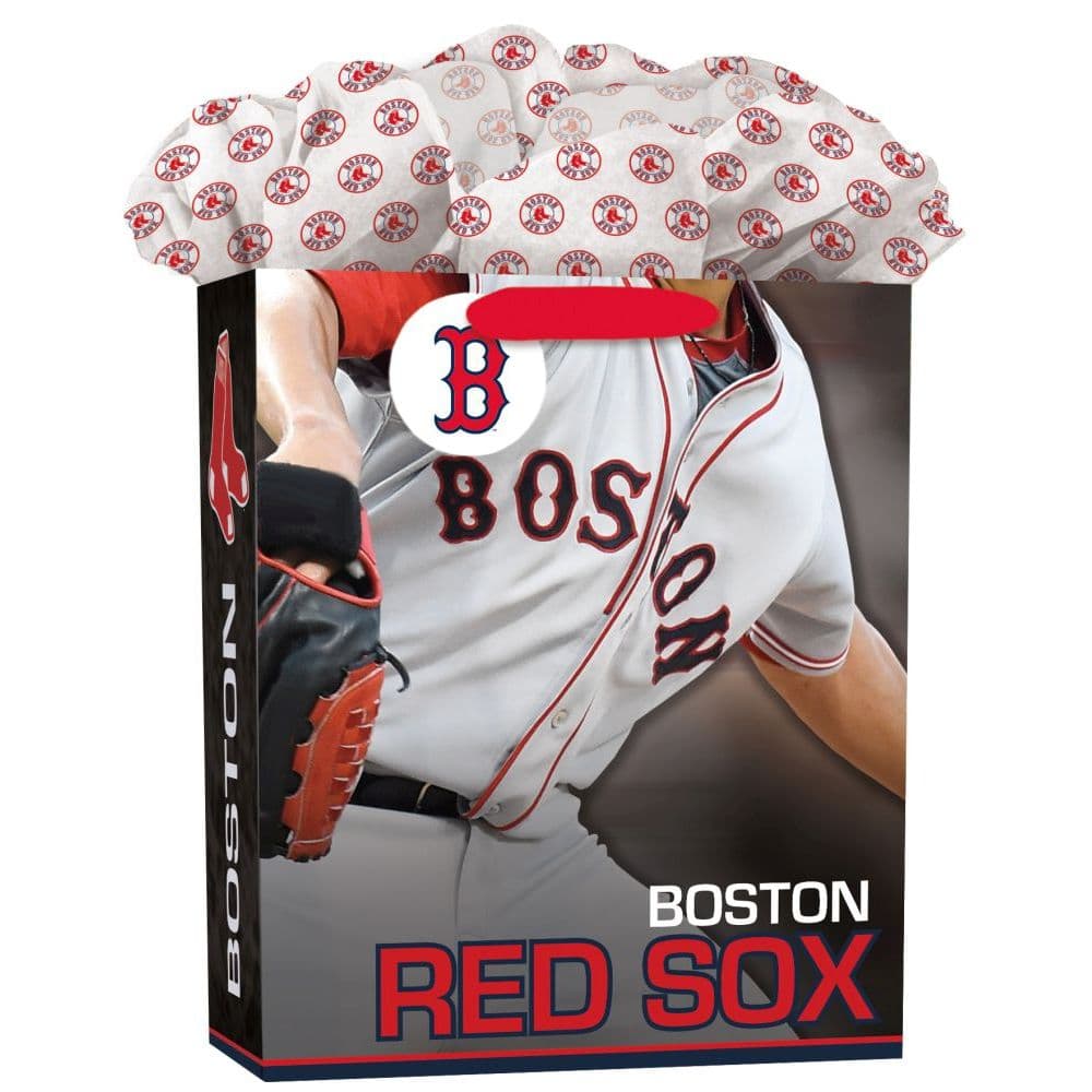 Mlb Boston Red Sox Lg GoGo Gift Bag Main Product  Image width="1000" height="1000"
