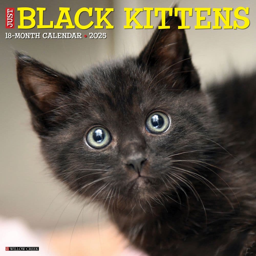 Black Kitties 2025 Wall Calendar Main Image