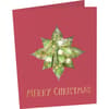 image Holly Ornament Christmas Card by Chad Barrett 2nd Product Detail  Image width=&quot;1000&quot; height=&quot;1000&quot;