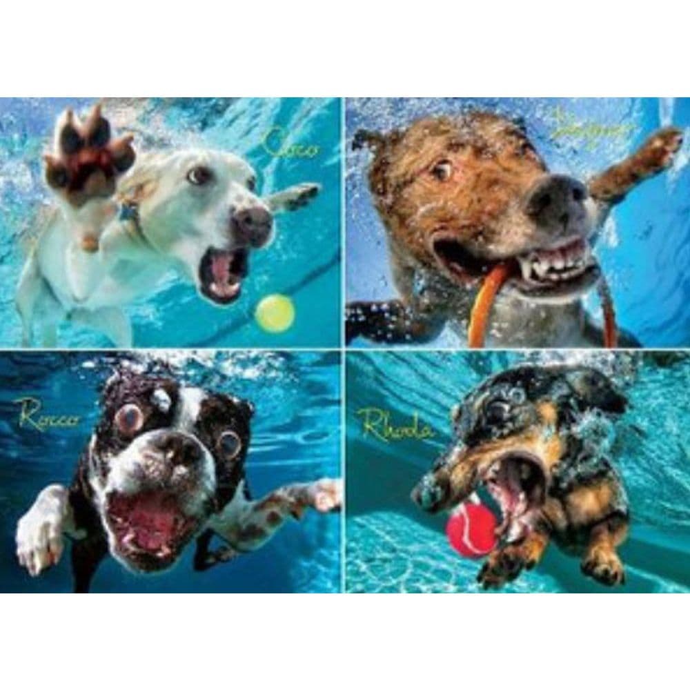 Underwater Dogs Pool Pawty 1000 Piece Puzzle Main Product  Image width="1000" height="1000"