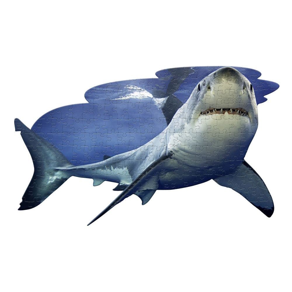 I Am Lil Shark 100pc Puzzle 2nd Product Detail  Image width="1000" height="1000"