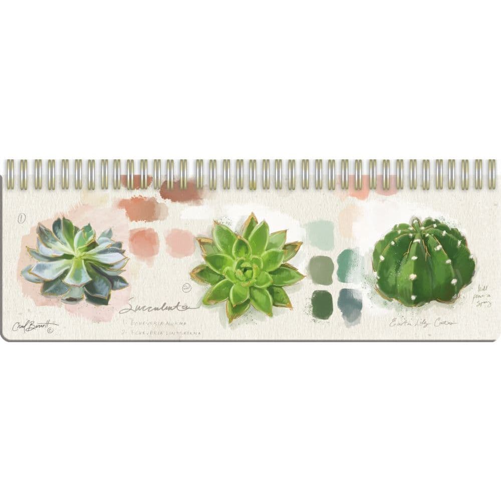 Succulent Study Weekly Organizer by Chad Barrett 2nd Product Detail  Image width=&quot;1000&quot; height=&quot;1000&quot;