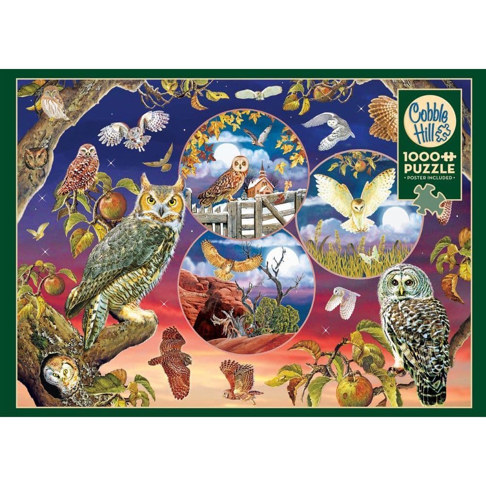 Owl Magic 1000pc Puzzle Main Product  Image width="1000" height="1000"