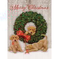 image Wonder and Joy Boxed Christmas Cards 18 pack w Decorative Box by Jim Lamb Main Product  Image width=&quot;1000&quot; height=&quot;1000&quot;