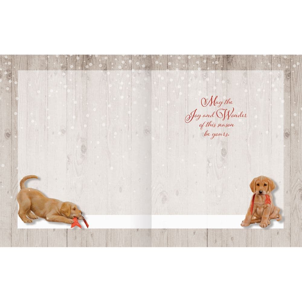 Wonder and Joy Boxed Christmas Cards 18 pack w Decorative Box by Jim Lamb 3rd Product Detail  Image width=&quot;1000&quot; height=&quot;1000&quot;