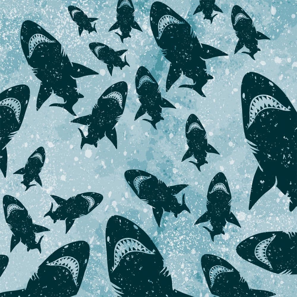 Jawsome Stainless Steel Water Bottle 2nd Product Detail  Image width="1000" height="1000"