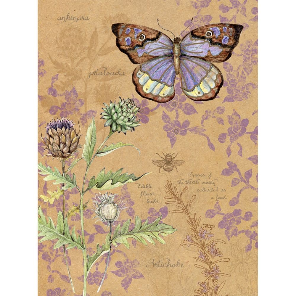 Kraft Field Guide 2 Pack Journal Set by Susan Winget Main Product  Image width="1000" height="1000"