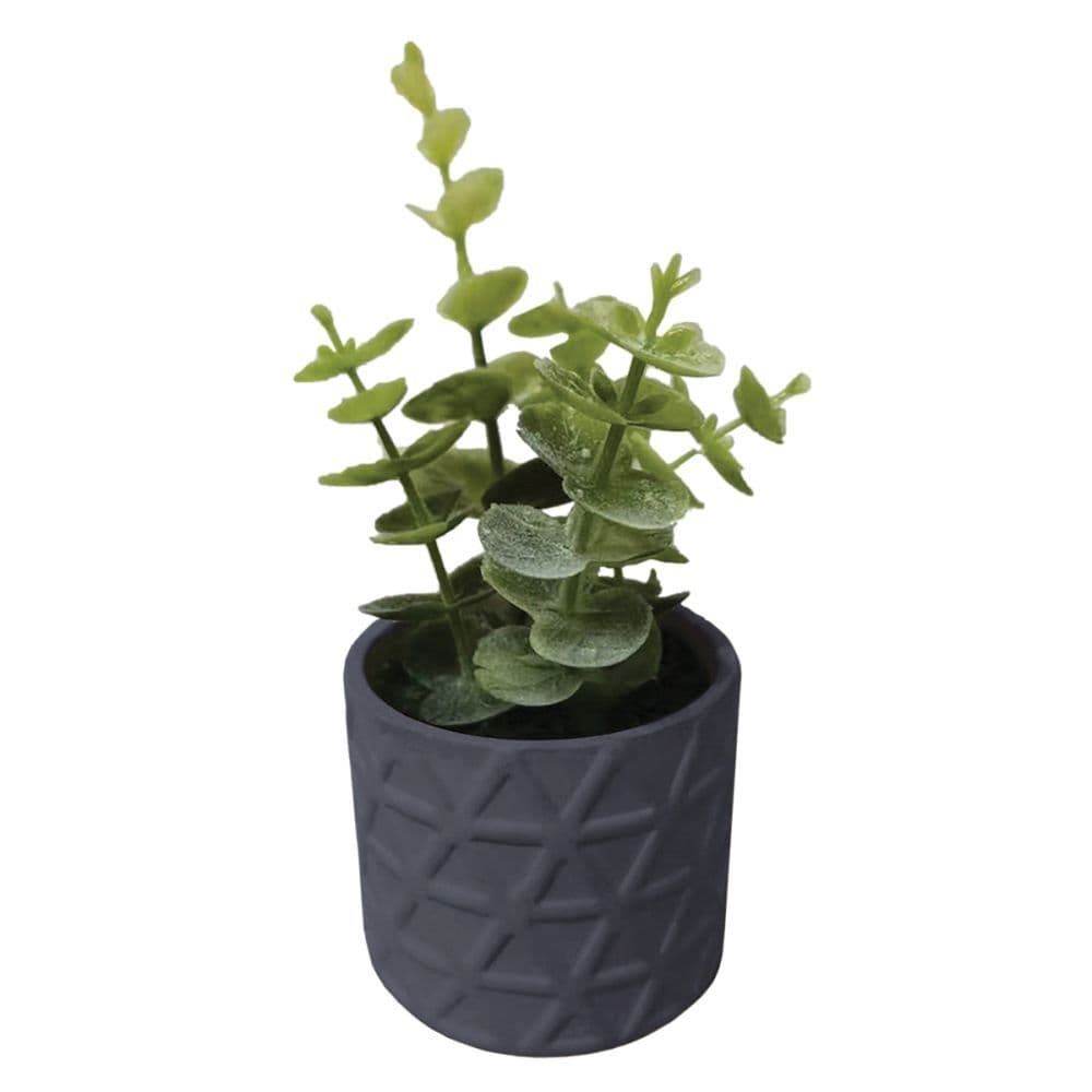 Gilded Wine Charcoal Faux Succulent Main Product  Image width="1000" height="1000"