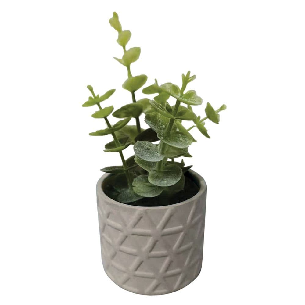 Spring Meadow Greige Faux Succulent Main Product  Image width="1000" height="1000"