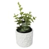image White Faux Succulent Plant Main Product  Image width="1000" height="1000"