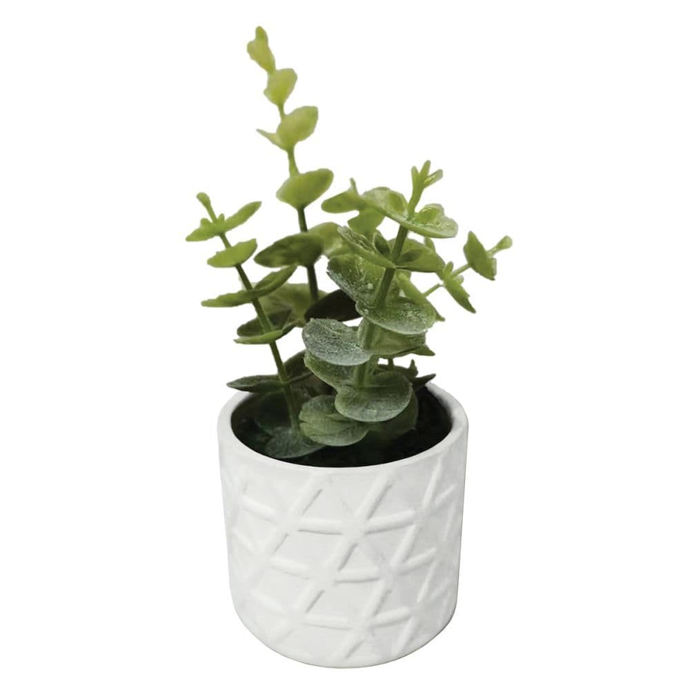 White Faux Succulent Plant Main Product  Image width="1000" height="1000"