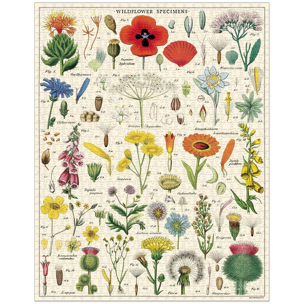 Wildflowers 1000 Piece Puzzle by Cavallini 2nd Product Detail  Image width=&quot;1000&quot; height=&quot;1000&quot;