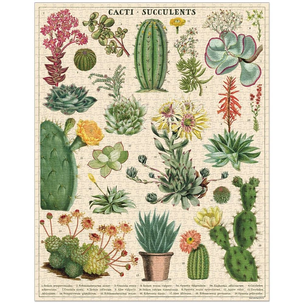 Succulents 1000 Piece Puzzle by Cavallini 2nd Product Detail  Image width="1000" height="1000"