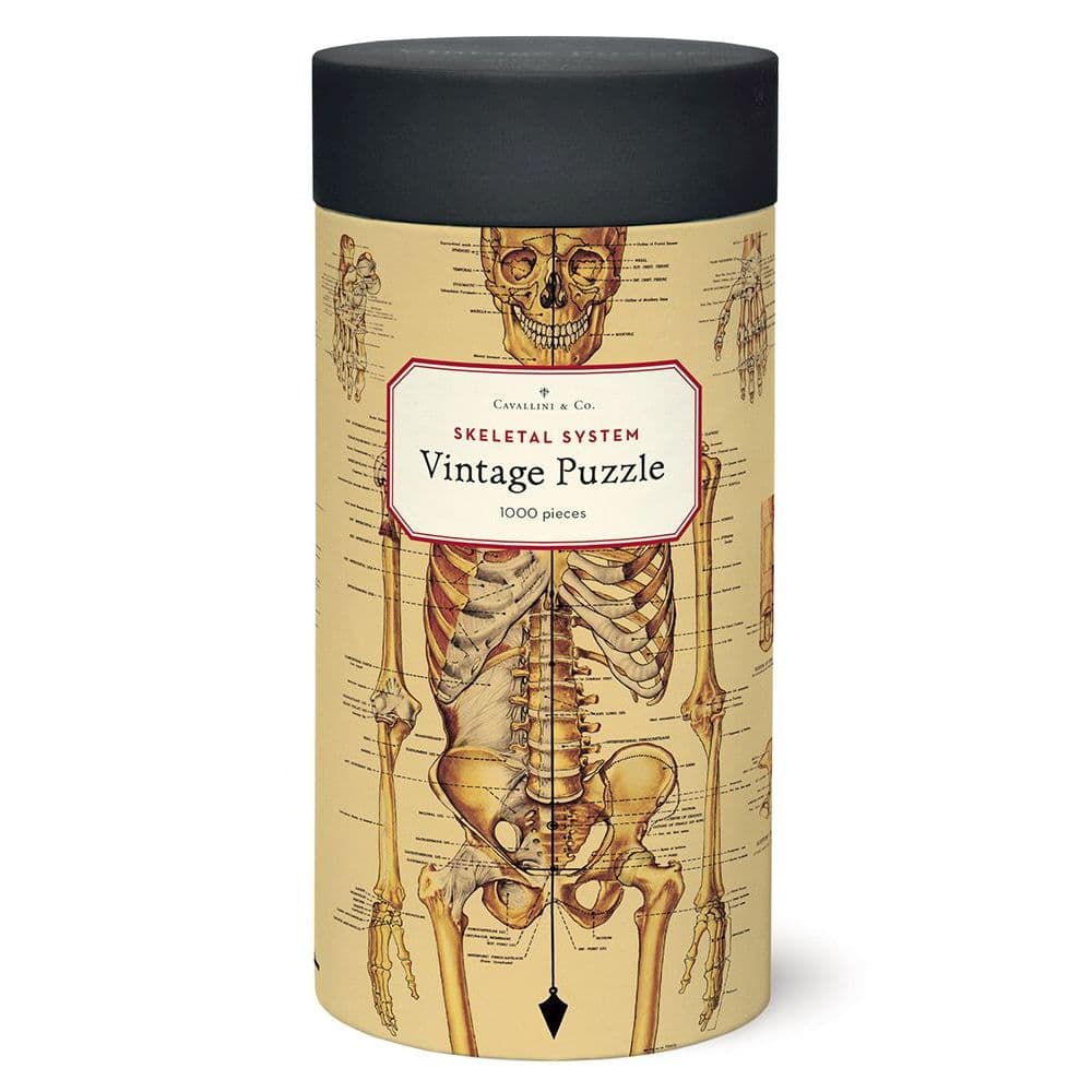 Skeletal System 1000 Piece Puzzle by Cavallini Main Product  Image width=&quot;1000&quot; height=&quot;1000&quot;