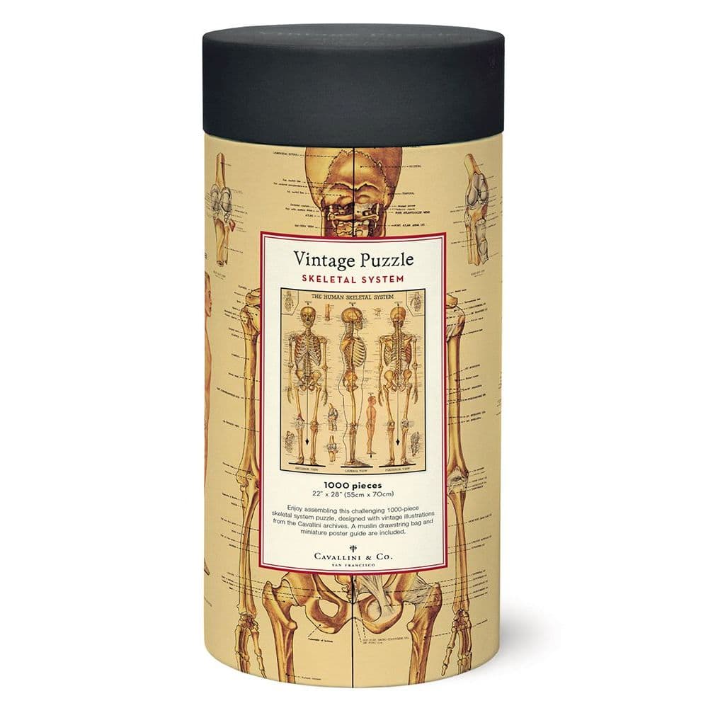Skeletal System 1000 Piece Puzzle by Cavallini 3rd Product Detail  Image width=&quot;1000&quot; height=&quot;1000&quot;