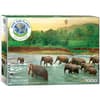 image Save Our Planet Animal Kingdom 1000pc Puzzle Main Product  Image width="1000" height="1000"