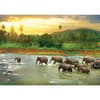 image Save Our Planet Animal Kingdom 1000pc Puzzle 2nd Product Detail  Image width="1000" height="1000"