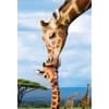 image Giraffe 250pc Puzzle 2nd Product Detail  Image width="1000" height="1000"