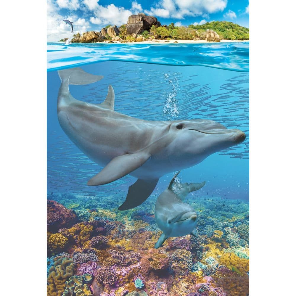 Dolphins 250pc Puzzle 2nd Product Detail  Image width="1000" height="1000"