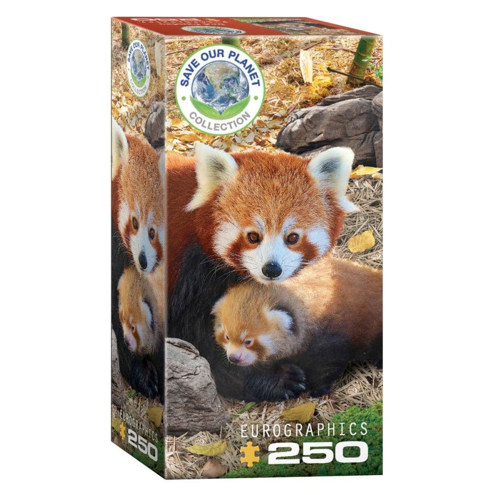 Red Panda 250pc Puzzle Main Product  Image width="1000" height="1000"