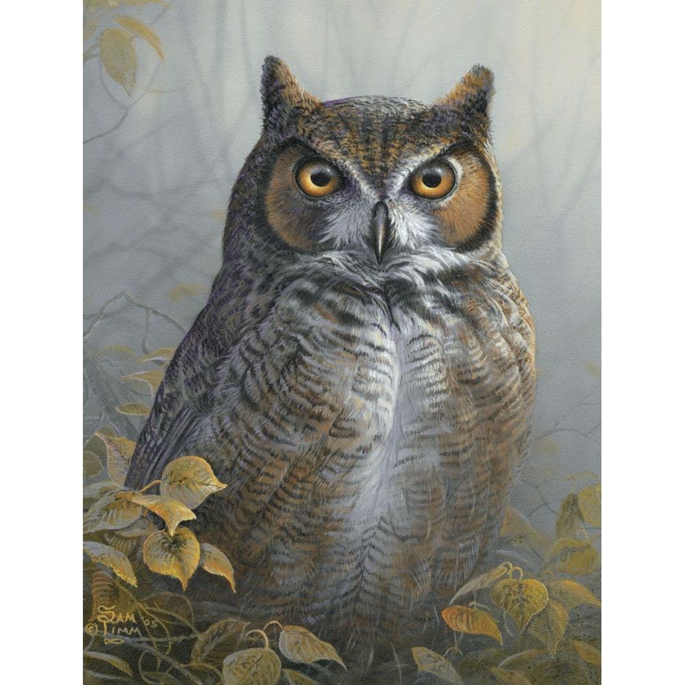 Watchful Eye 1000pc Puzzle Main Product  Image width="1000" height="1000"