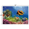 image Coral Reef 1000Pc Puzzle 5th Product Detail  Image width=&quot;1000&quot; height=&quot;1000&quot;