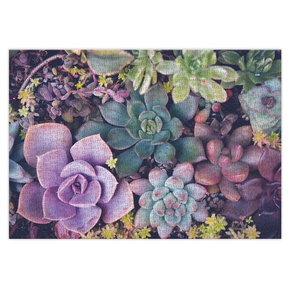 Succulents 1000 Piece Puzzle 2nd Product Detail  Image width=&quot;1000&quot; height=&quot;1000&quot;