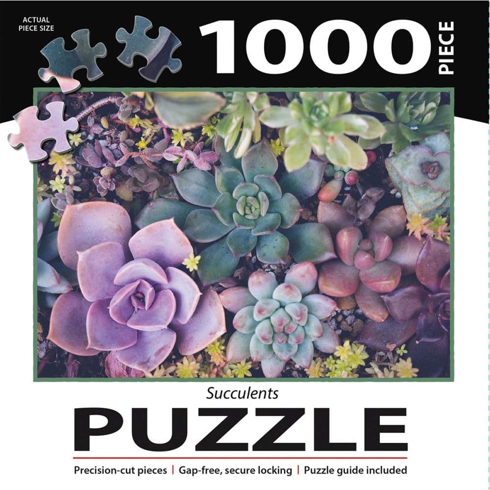 Succulents 1000 Piece Puzzle 3rd Product Detail  Image width=&quot;1000&quot; height=&quot;1000&quot;