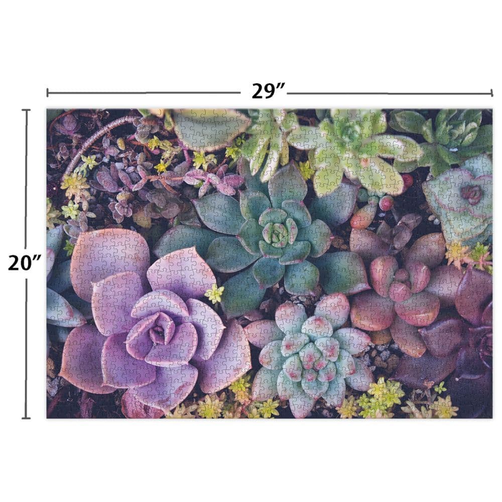Succulents 1000 Piece Puzzle 5th Product Detail  Image width=&quot;1000&quot; height=&quot;1000&quot;