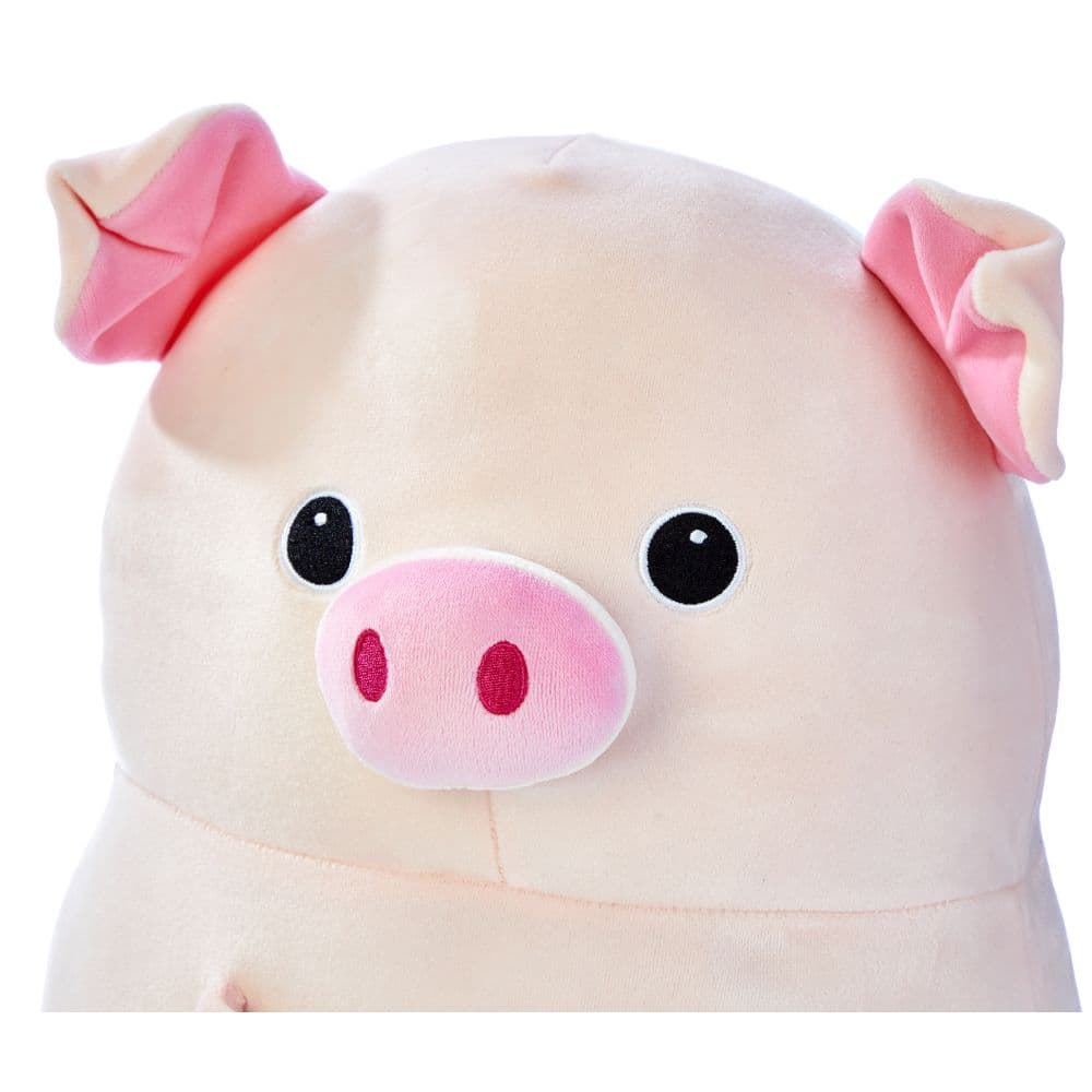 Kobioto Piggy Supersoft Plush First Alternate Image width=&quot;1000&quot; height=&quot;1000&quot;