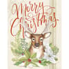 image Deer Christmas Boxed Christmas Cards Main Product  Image width=&quot;1000&quot; height=&quot;1000&quot;