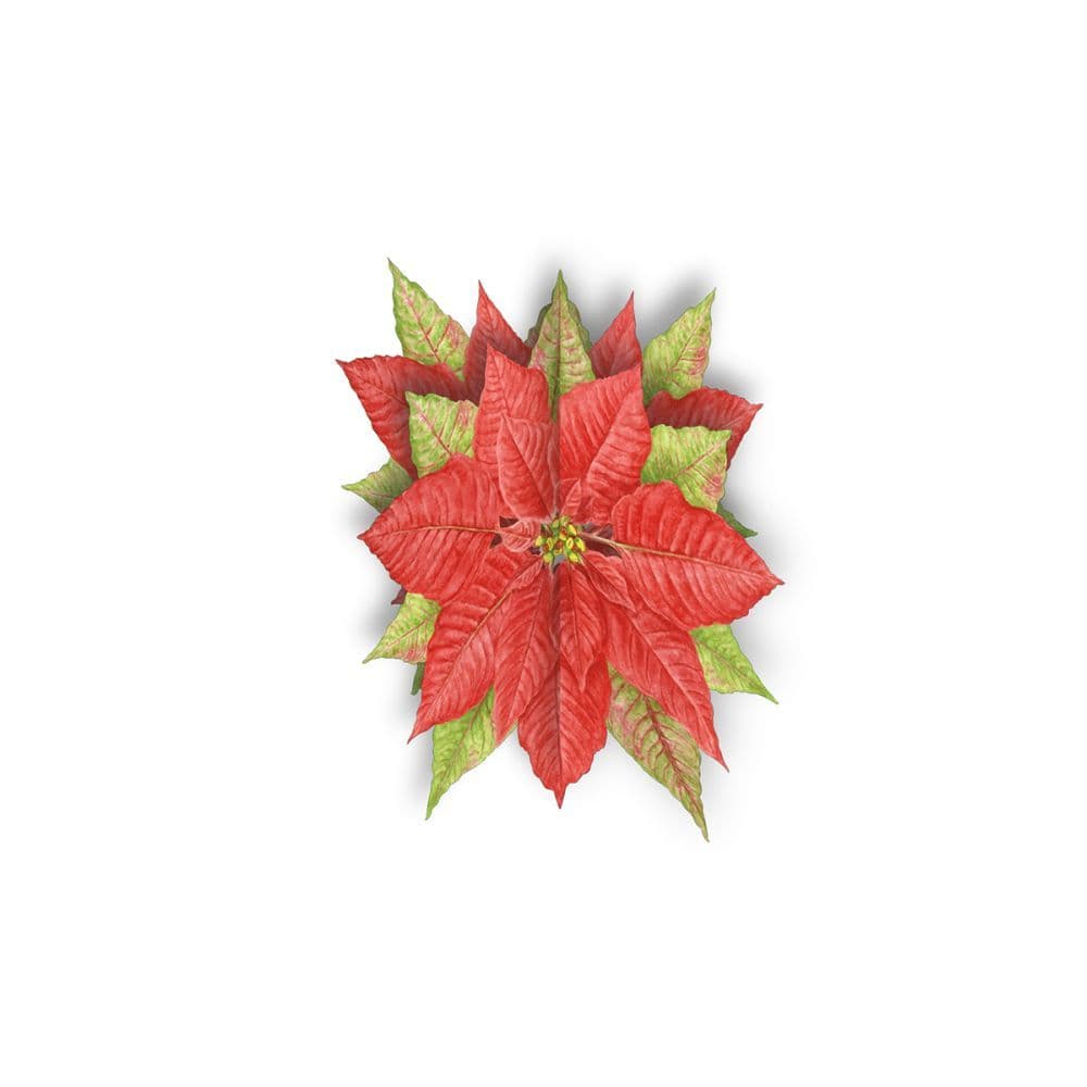Poinsettia Ornament Christmas Cards 2nd Product Detail  Image width="1000" height="1000"