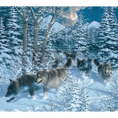 Beyond the Woods 2022 Downloadable Digital Wallpaper for the month of January width="1000" height="1000"