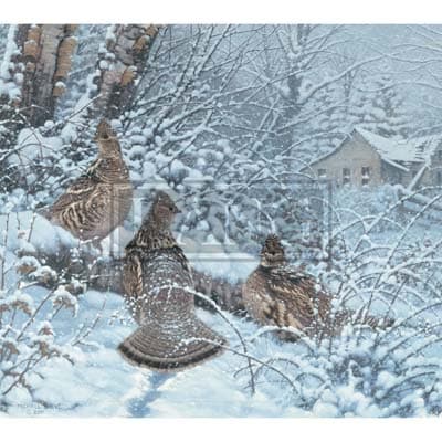 Beyond the Woods 2022 Downloadable Digital Wallpaper for the month of February width="1000" height="1000"