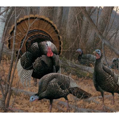 Beyond the Woods 2022 Downloadable Digital Wallpaper for the month of March width="1000" height="1000"