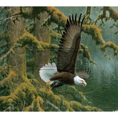 Beyond the Woods 2022 Downloadable Digital Wallpaper for the month of June width="1000" height="1000"