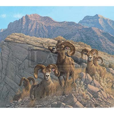 Beyond the Woods 2022 Downloadable Digital Wallpaper for the month of July width="1000" height="1000"