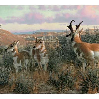 Beyond the Woods 2022 Downloadable Digital Wallpaper for the month of August width="1000" height="1000"