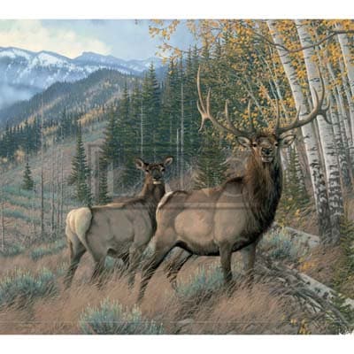 Beyond the Woods 2022 Downloadable Digital Wallpaper for the month of September width="1000" height="1000"