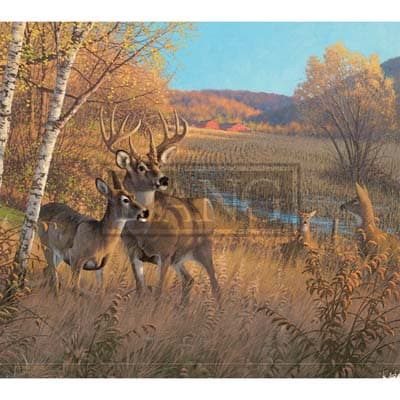 Beyond the Woods 2022 Downloadable Digital Wallpaper for the month of October width="1000" height="1000"