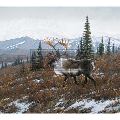 Beyond the Woods 2022 Downloadable Digital Wallpaper for the month of November width="1000" height="1000"