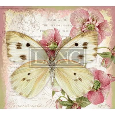 Butterflies 2022 Downloadable Digital Wallpaper for the month of January width="1000" height="1000"