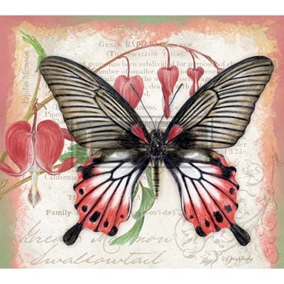 Butterflies 2022 Downloadable Digital Wallpaper for the month of February width="1000" height="1000"