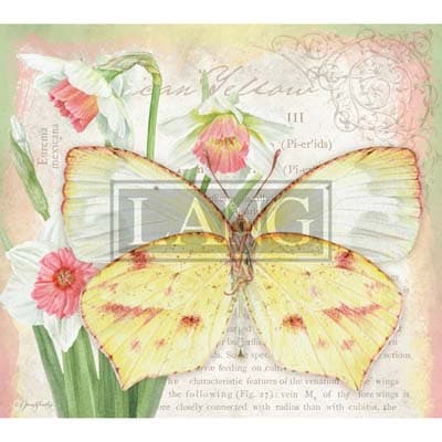 Butterflies 2022 Downloadable Digital Wallpaper for the month of April width="1000" height="1000"