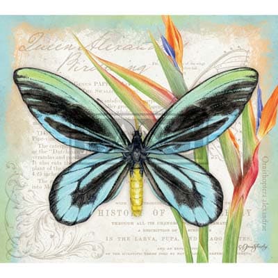 Butterflies 2022 Downloadable Digital Wallpaper for the month of September width="1000" height="1000"