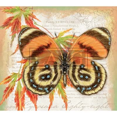 Butterflies 2022 Downloadable Digital Wallpaper for the month of October width="1000" height="1000"