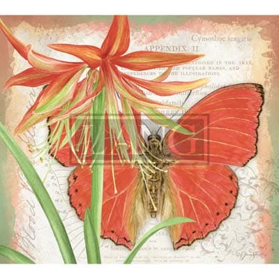 Butterflies 2022 Downloadable Digital Wallpaper for the month of December width="1000" height="1000"